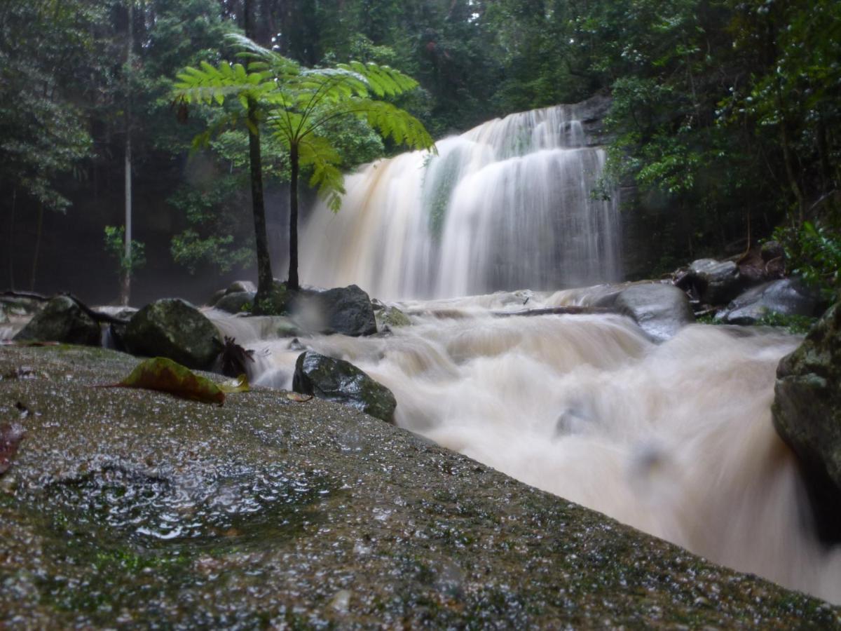 Buderim Forest Hideaway エクステリア 写真